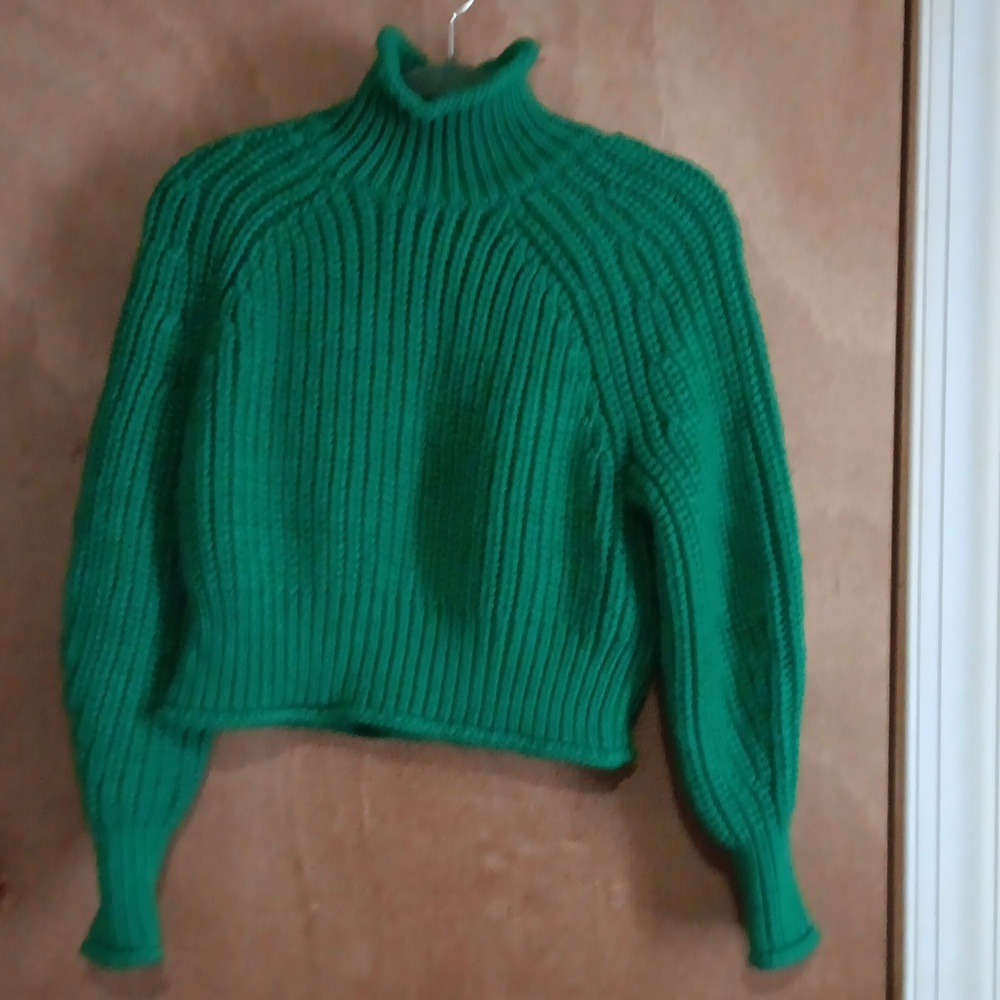 H&M Green Cropped Turtleneck Sweater in Size Small